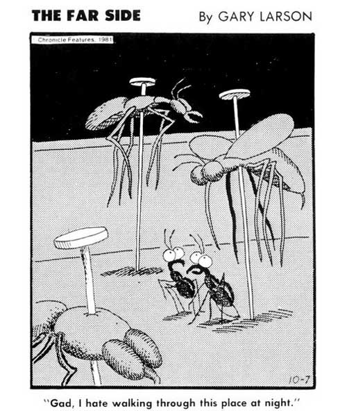elroy flakes: The Far Side