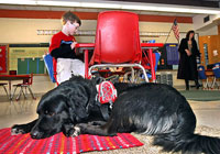 Autism Service Dog and child: Nine Ways How Special Dogs are Helping Children with Special Needs