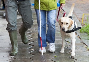 Visually-Impaired Students